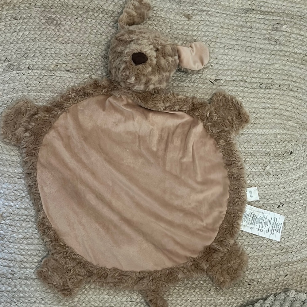 Pottery Barn Kids Puppy Playmat